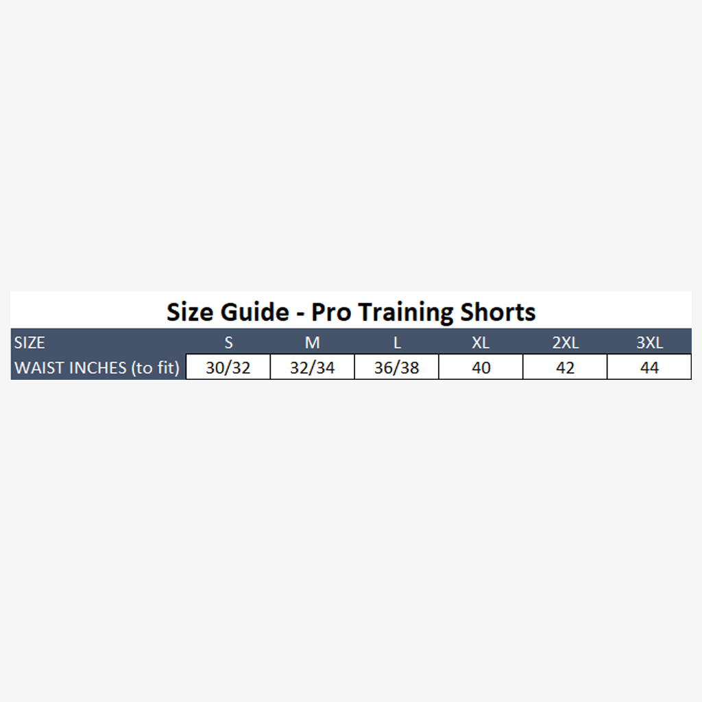 ECC 2021 Pro Training Shorts