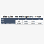 Load image into Gallery viewer, ECC 2021 Pro Training Shorts - Youth
