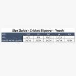 Load image into Gallery viewer, ECC 2021 Onfield Cricket Slipover - Youth

