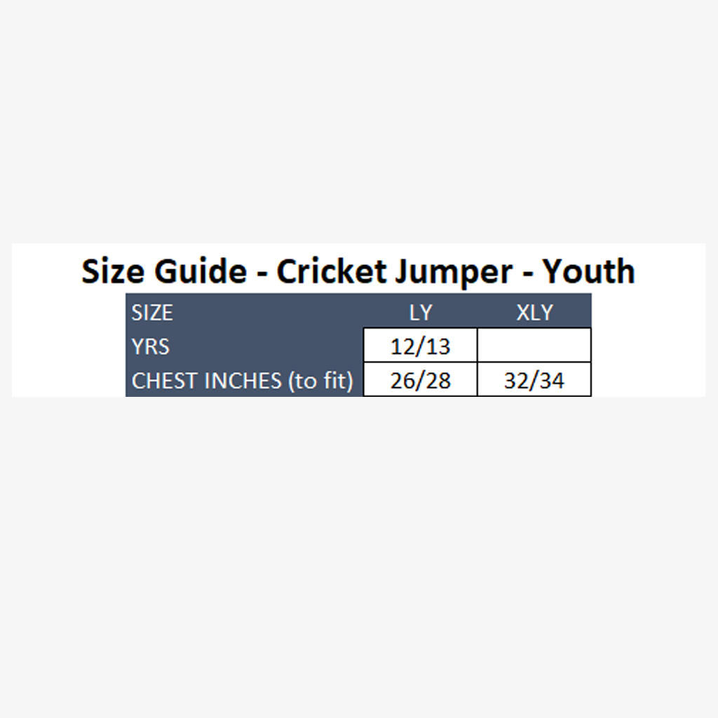 ECC 2021 Onfield Cricket Jumper - Youth