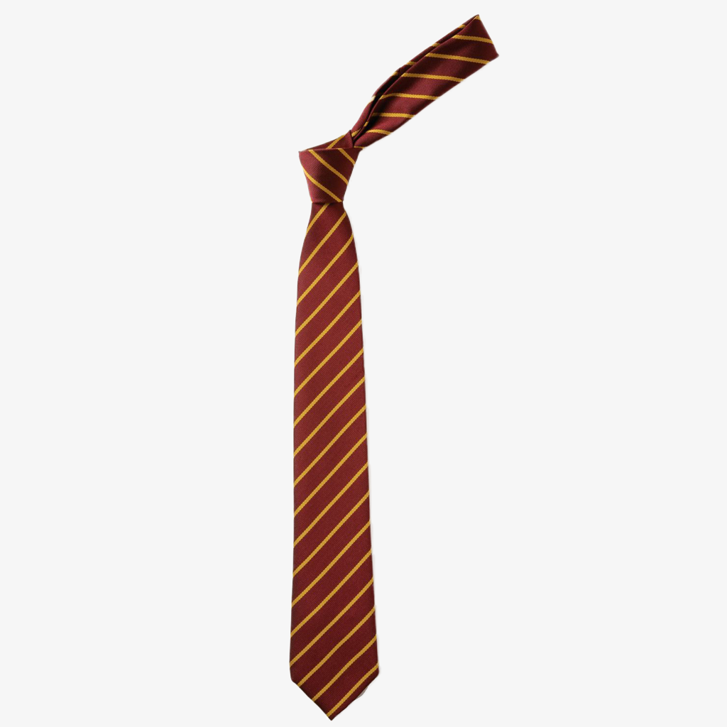 Parbold Douglas Academy Tie