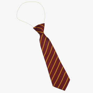 Parbold Douglas Academy Elastic Tie